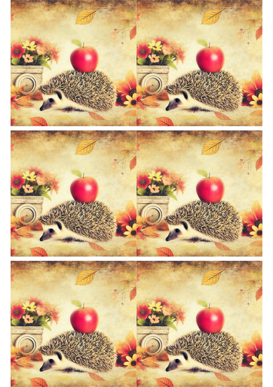 Sticker Sheet – Hedgehog and Apple Collage Cat. No. 2585