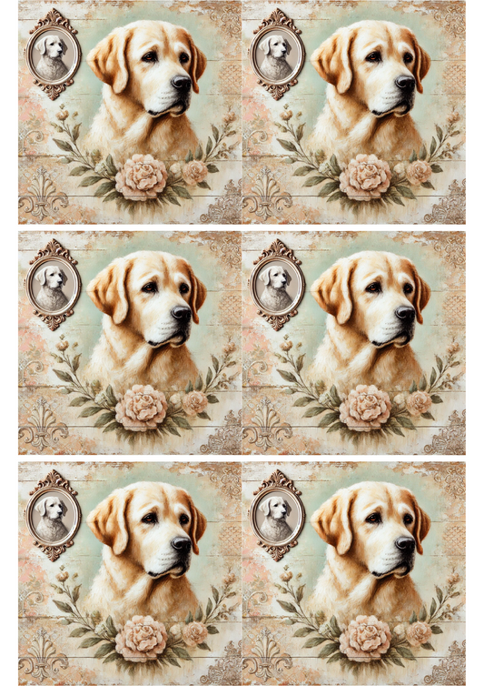 Sticker Sheet – Labrador Shabby Chic Collage, Cat. No. 2064