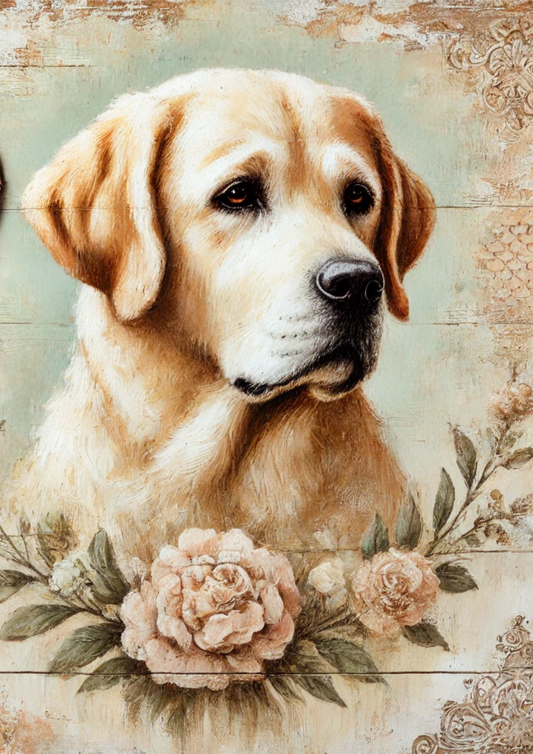 Klistremerkeark – Labrador Shabby Chic Full, kat.nr. 2065