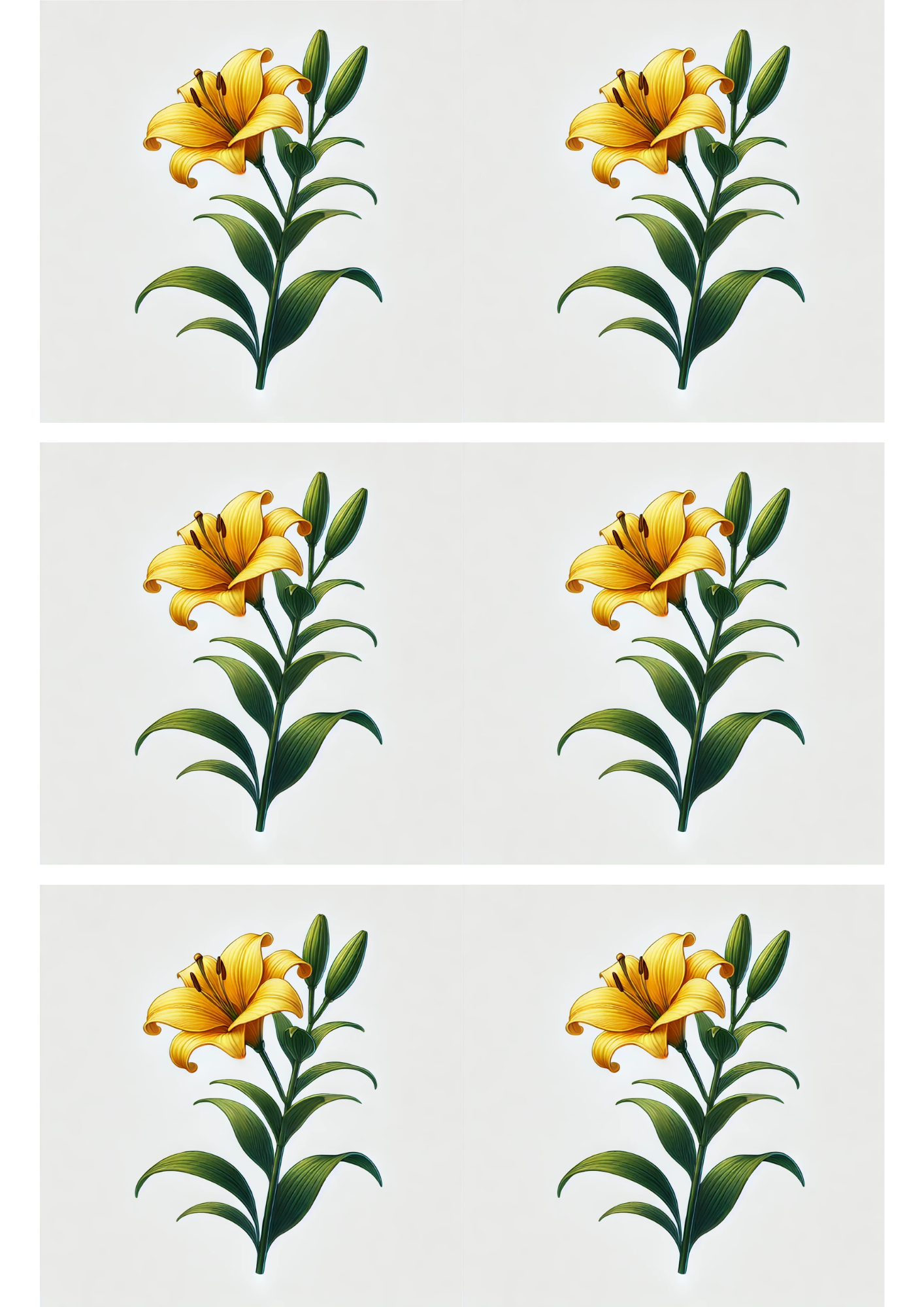 Sticker Sheet / Greeting Card – Lily Collage Cat. No. 3047