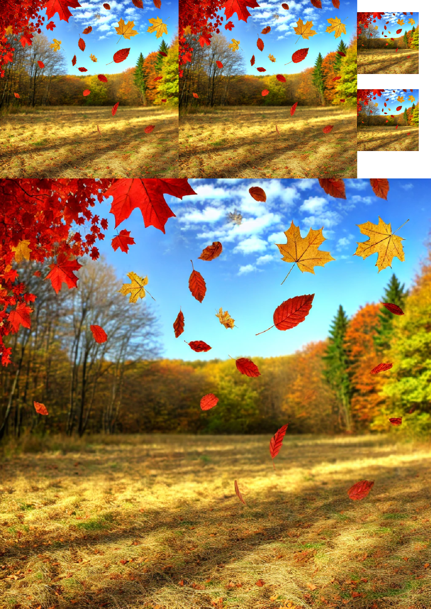 Sticker Sheet / Greeting Card – Falling Leaves Collage Cat. No. 1321