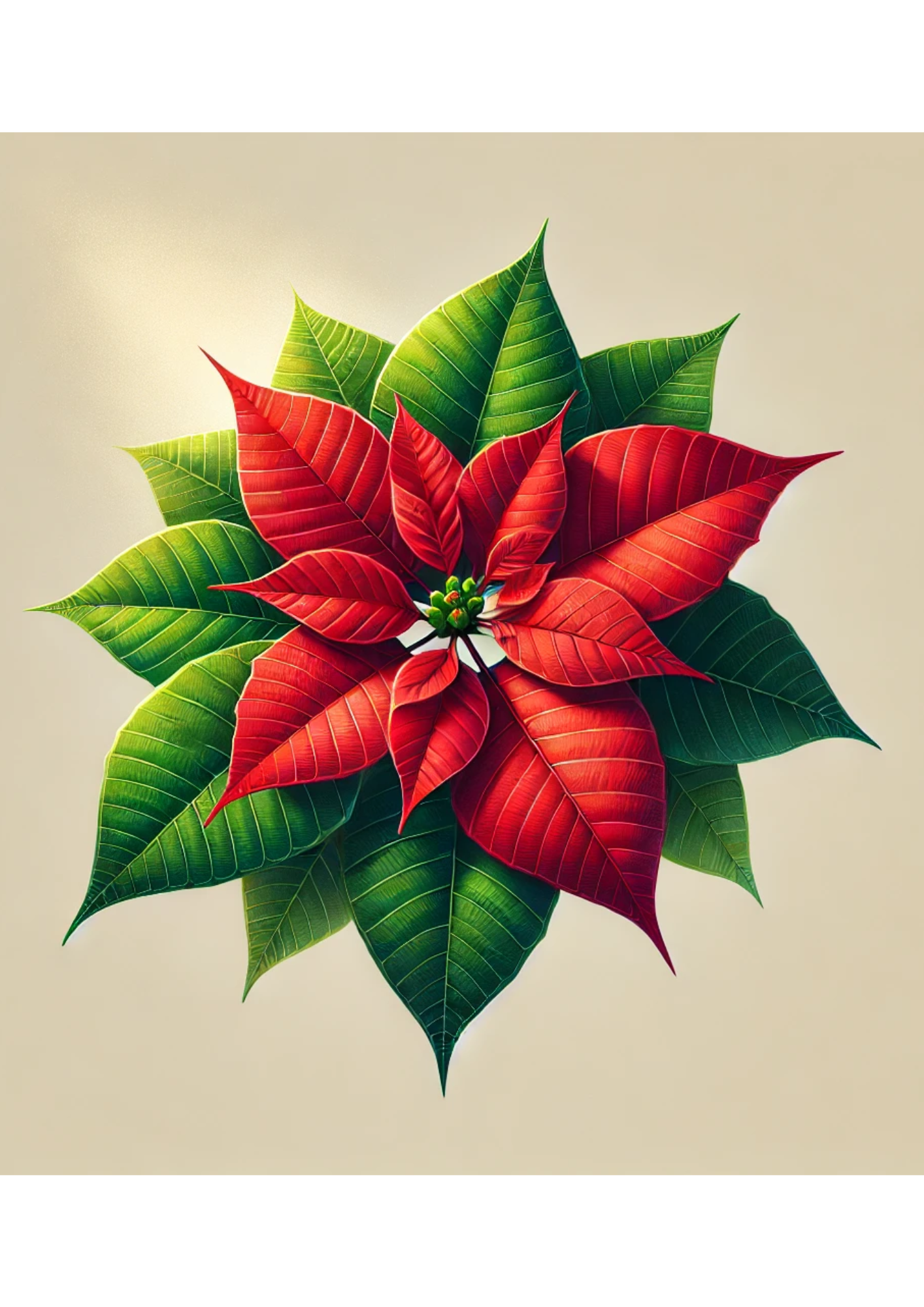 Sticker Sheet / Greeting Card – Poinsettia Full Cat. No. 2267