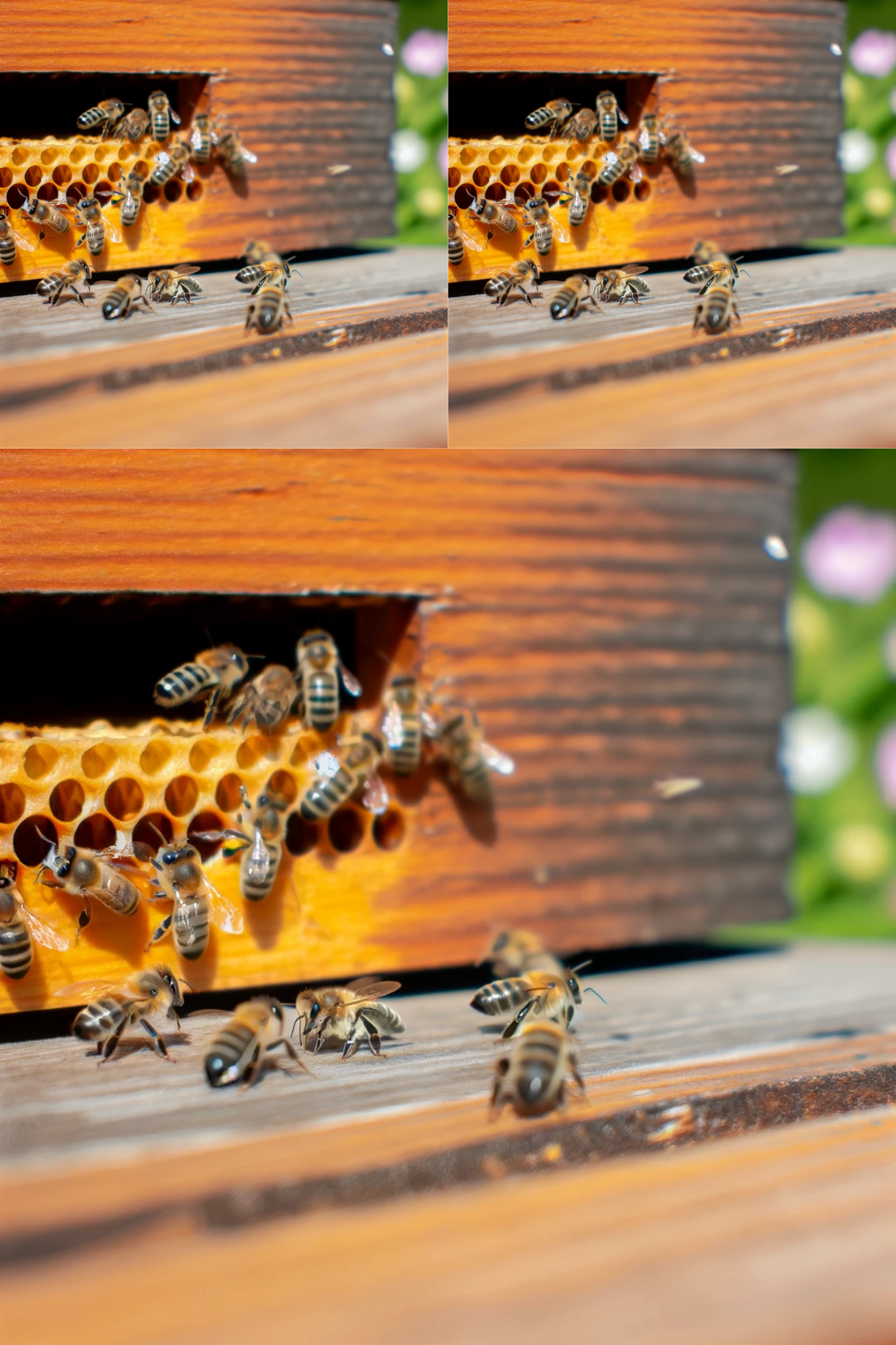 Sticker Sheet / Greeting Card – Bees Cat. No. 26