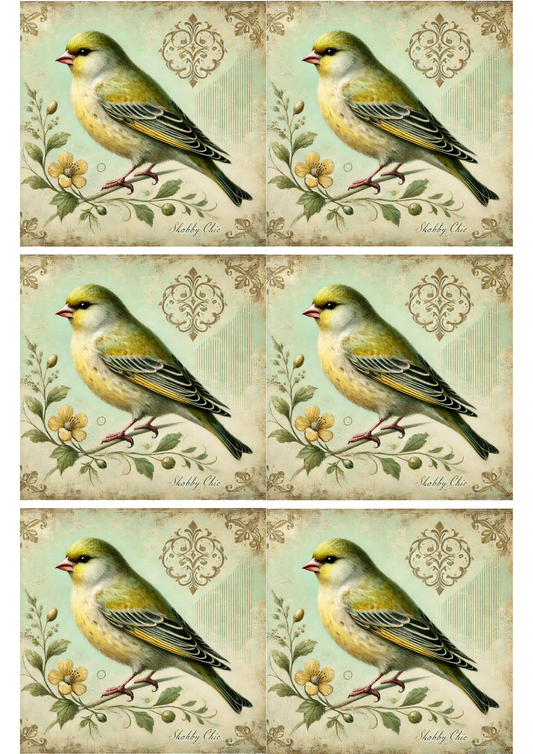 Sticker Sheet – Bird Shabby Chic Collage Cat. No. 2284