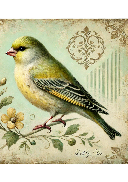 Sticker Sheet – Bird Shabby Chic Full Cat. No. 2285
