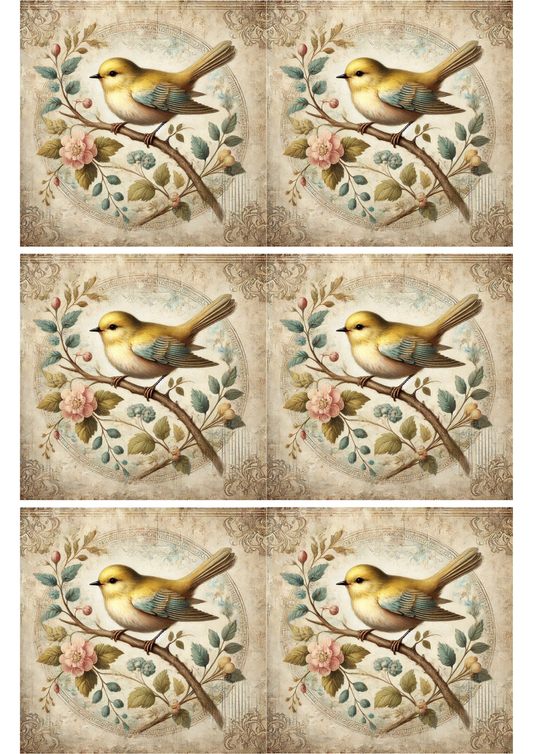 Sticker Sheet – Bird On Branch Shabby Chic Collage Cat. No. 2292