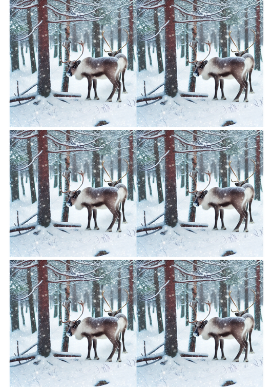 Klistremerkeark – Reinsdyr i vinterskog 2 Kollasje Kat. nr. 2333
