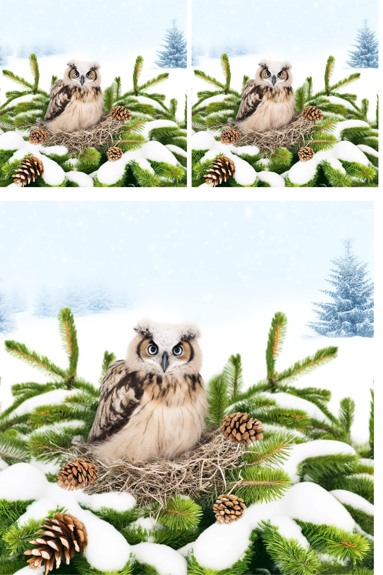 Sticker Sheet / Greeting Card – Owl In The Nest On The Fir Tree 2 Collage Cat No. 793