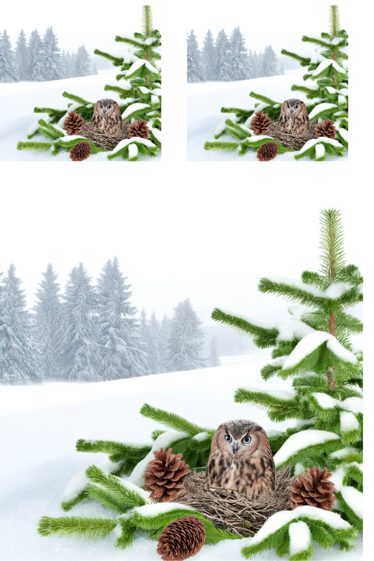 Sticker Sheet – Owl In The Nest On The Fir Tree 4 Collage Cat No. 795