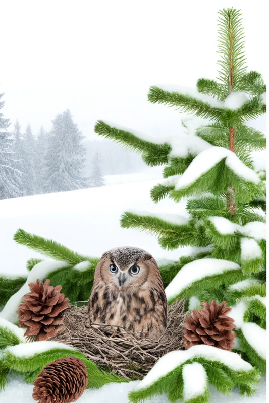 Sticker Sheet – Owl In The Nest On The Fir Tree 4 Full Cat No. 796