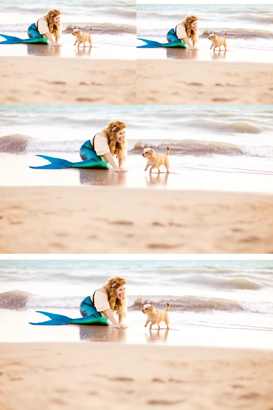 Sticker Sheet – Mermaid Plays With Dog Collage Cat. No. 416