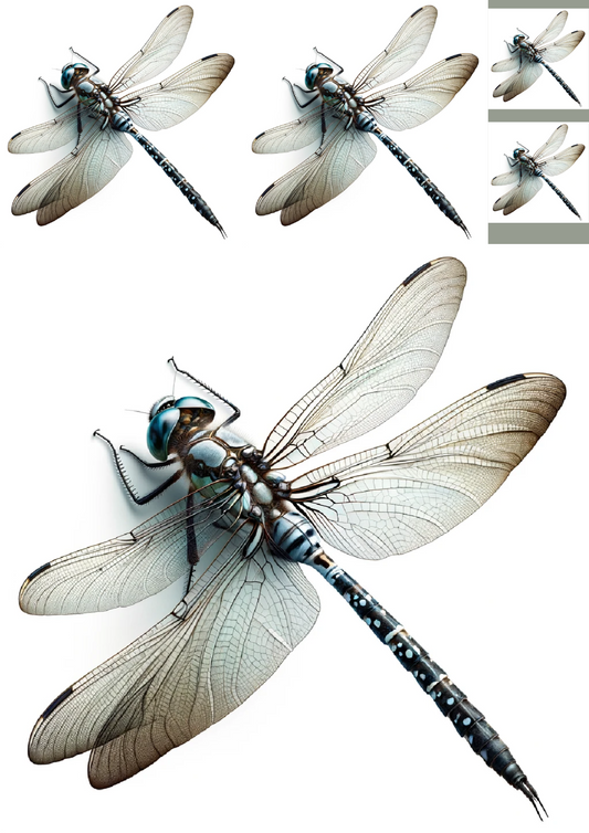 Sticker Sheet, Dragonfly Collage, Cat. No. 1182