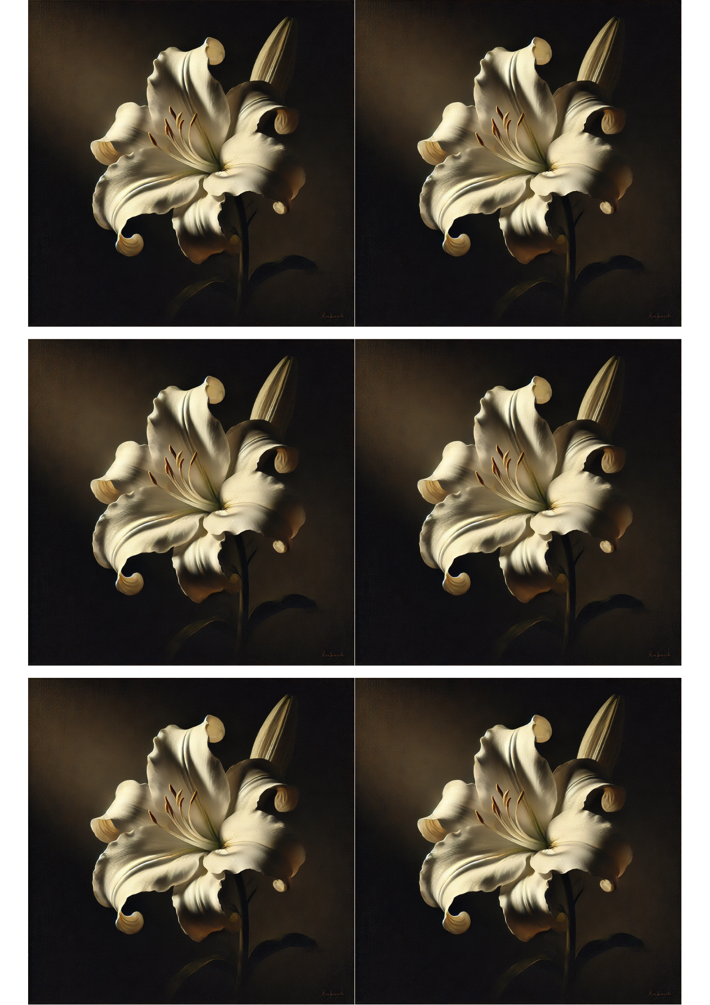 Sticker Sheet / Greeting Card – White Lily Collage Cat. No. 2647