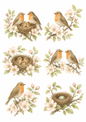 Sticker Sheet / Greeting Card – Red Robin on Branch Collage Cat. No. 10164