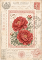 Sticker Sheet / Greeting Card – Red Peony Stamp Full Cat. No. 10196