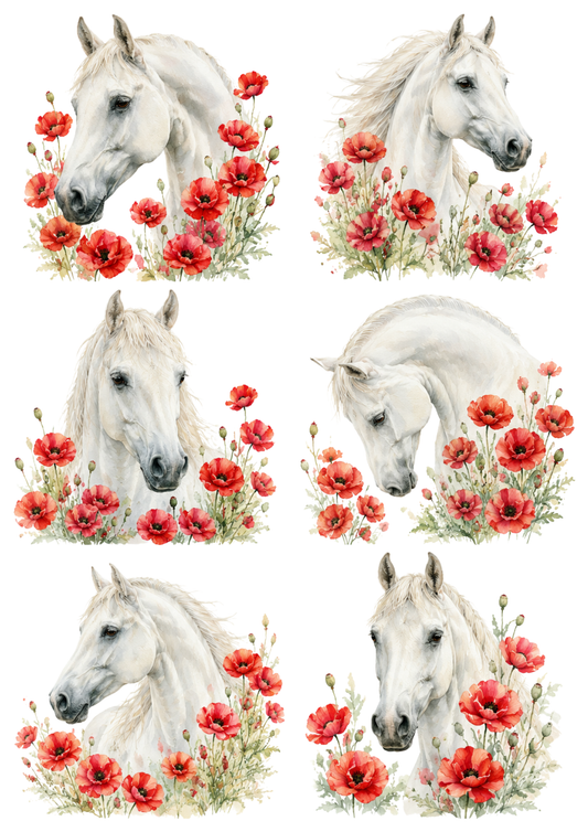 Sticker Sheet / Greeting Card – Majestic White Horse Portrait Collage Cat. No. 10257