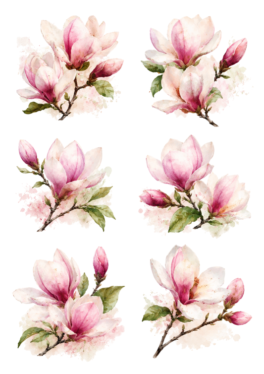 Sticker Sheet / Greeting Card – Pink Pastel Magnolia Flowers Collage Cat. No. 10313