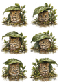 Sticker Sheet / Greeting Card – Mouse's Leaf Umbrella Collage Cat. No. 10321