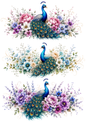 Sticker Sheet / Greeting Card – Beautiful Peacock Collage Cat. No. 10413