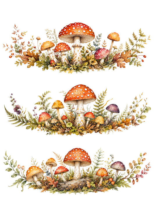 Sticker Sheet / Greeting Card – Forest Mushroom Collage Cat. No. 10416