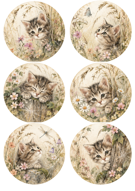 Sticker Sheet / Greeting Card – Little Kitten Circles Collage Cat. No 10528
