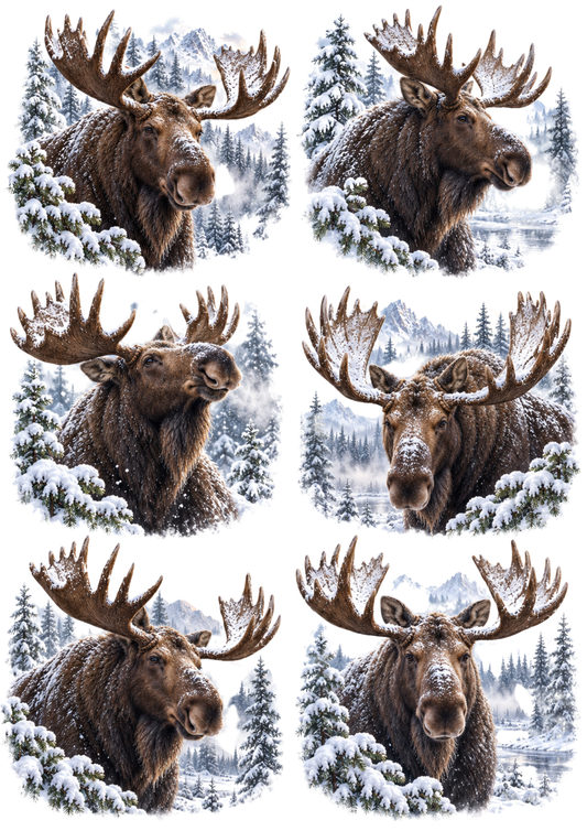 Sticker Sheet / Greeting Card – Snowy Moose Portrait Collage Cat. No 10598