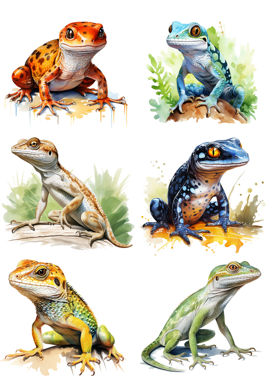Sticker Sheet – Lizards Collage Cat No. 4043