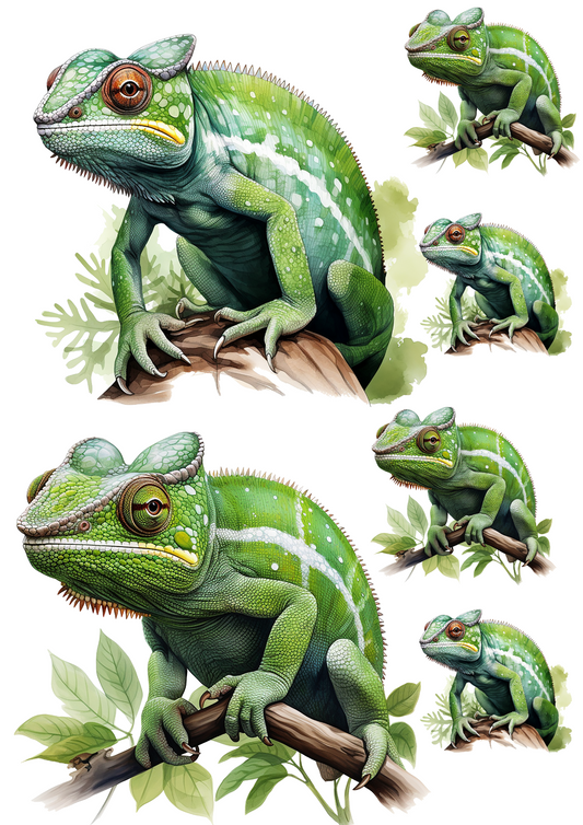 Sticker Sheet – Chameleon Collage Cat No. 4045