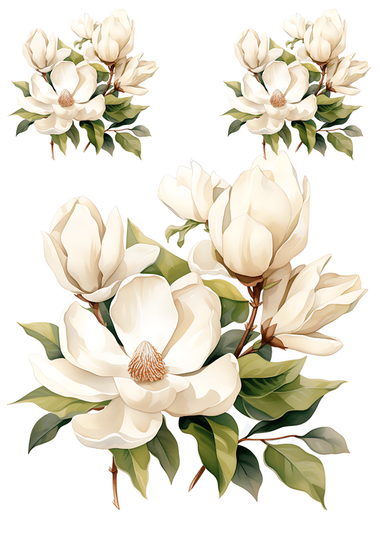 Sticker Sheet – White Magnolia Collage Cat No. 4182