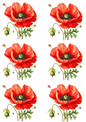 Stickerbogen – Collage mit roten Mohnblumen, Kat.-Nr. 4256