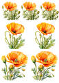 Wall Art Poster / Greeting Card / Sticker Sheet – Yellow Poppies Collage Cat. No.4258