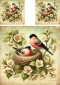 Wall Art Poster / Greeting Card / Sticker Sheet – Bullfinches In A Nest Among Flowers Shabby Chic Collage Cat. No. 4288