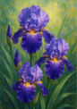 Wall Art Poster / Greeting Card / Sticker Sheet – Irises Full Cat. No. 4437