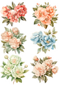 Wall Art Poster / Greeting Card / Sticker Sheet – Peonies Collage Cat. No. 4443