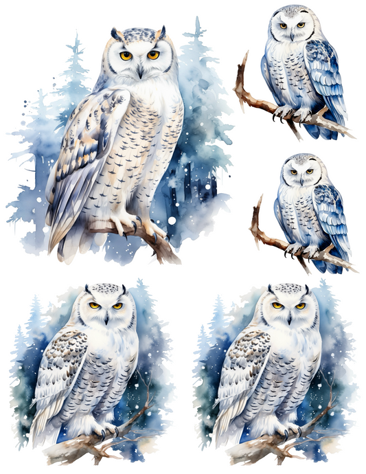 Sticker Sheet – Owl Collage Cat. No. 4526