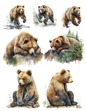 Wall Art Poster / Greeting Card / Sticker Sheet – Rice Paper Decoupage Bear In Its Natural Environment Collage Cat. No. 4536