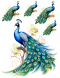 Wall Art Poster / Greeting Card / Sticker Sheet – Peacock Collage Cat. No. 4580