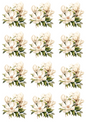 Wall Art Poster / Greeting Card / Sticker Sheet – Magnolia Bouquets Collage Cat. No. 4669