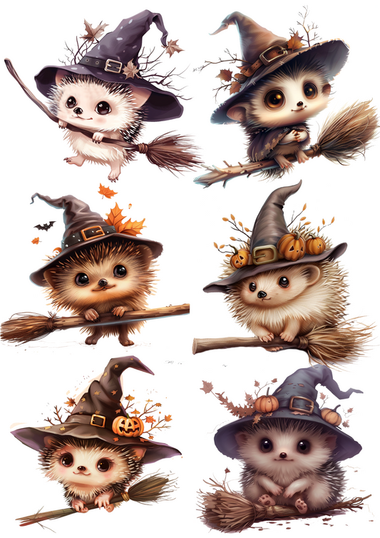 Sticker Sheet – Hedgehog In A Magic Hat With A Pumpkin Collage Cat. No. 4673