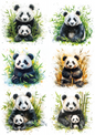 Wall Art Poster / Greeting Card / Sticker Sheet – Panda In Bamboo Collage Cat. No. 4675
