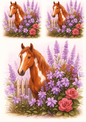 Wall Art Poster / Greeting Card / Sticker Sheet – White Brown Horse In Lavender Collage Cat. No. 4702
