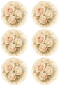 Wall Art Poster / Greeting Card / Sticker Sheet – Cream Roses Shabby Chic In Circles Collage Cat. No. 4750