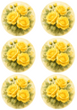 Wall Art Poster / Greeting Card / Sticker Sheet – Yellow Roses Shabby Chic In Circles Collage Cat. No. 4753