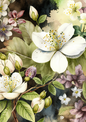 Wall Art Poster / Greeting Card / Sticker Sheet – Floral Background Full Cat. No. 4808