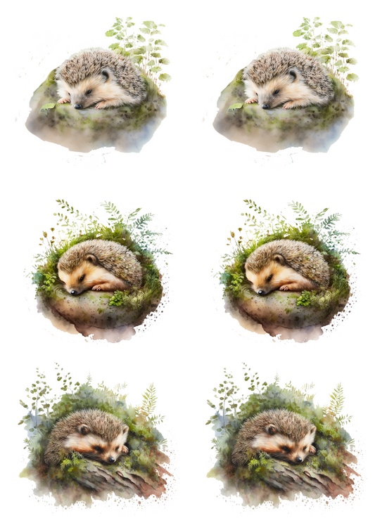 Sticker Sheet – Sleeping Hedgehog Collage Cat. No. 4817