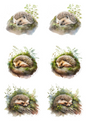 Wall Art Poster / Greeting Card / Sticker Sheet – Sleeping Hedgehog Collage Cat. No. 4817