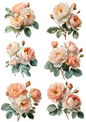 Wall Art Poster / Greeting Card / Sticker Sheet – English Roses Collage Cat. No. 4887