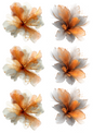 Wall Art Poster / Greeting Card / Sticker Sheet – Abstract Beige Flower with Gold Elements Collage Cat. No. 4917