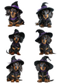 Wall Art Poster / Greeting Card / Sticker Sheet – Dachshund In A Hat Collage Cat. No. 5032