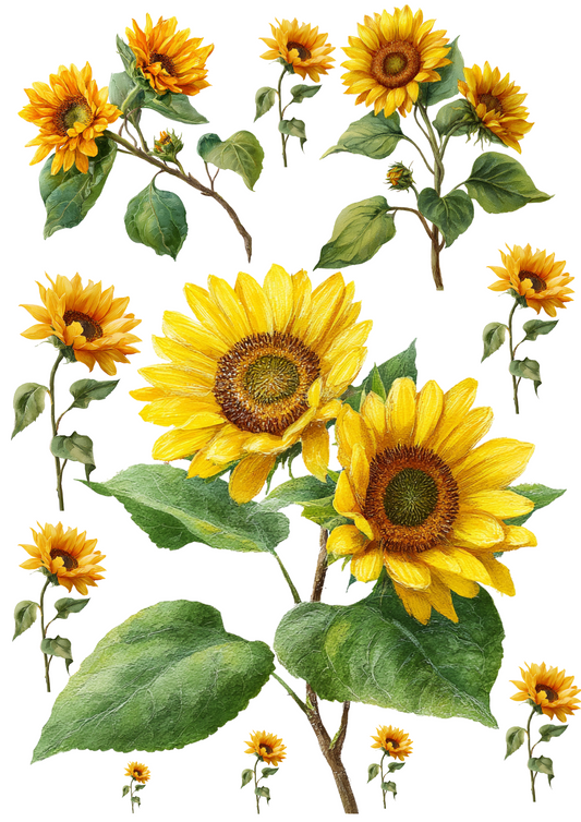 Sticker Sheet – Sunflowers Collage Cat. No. 5034